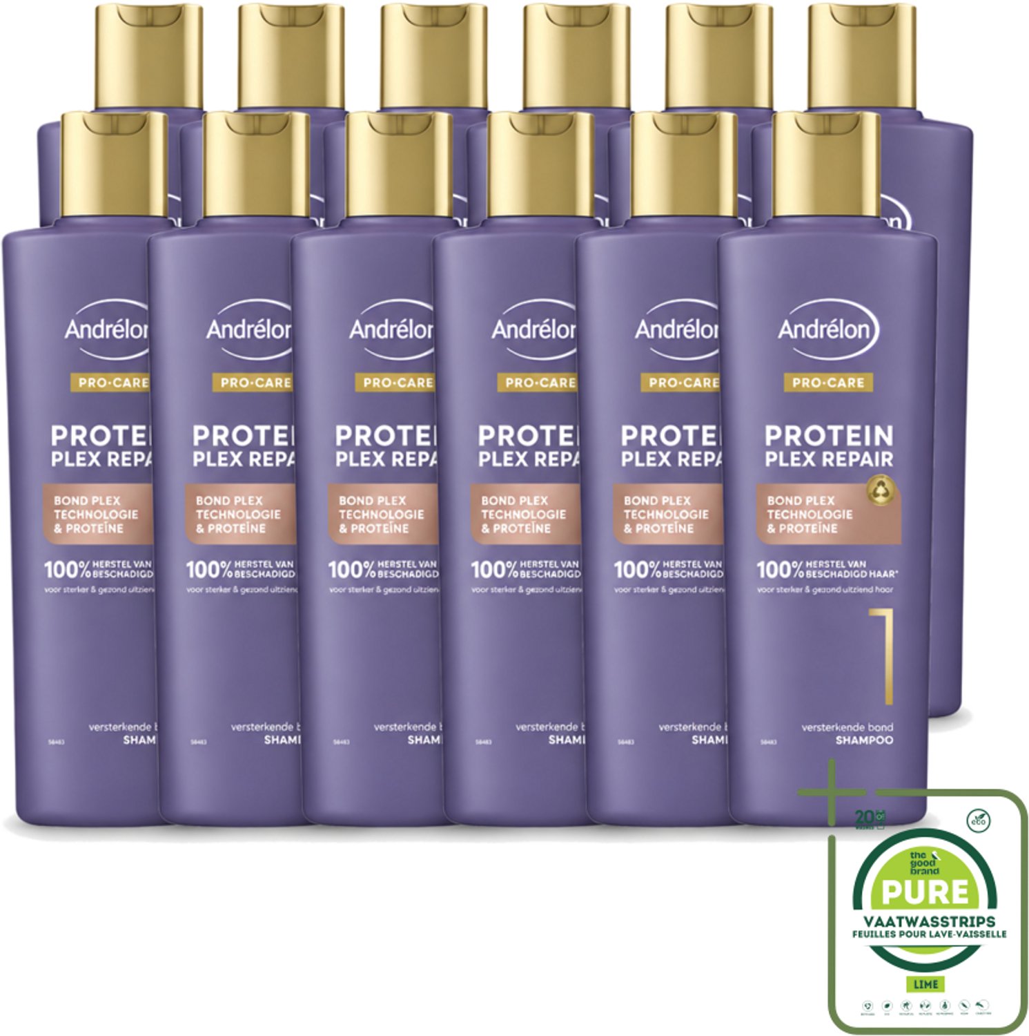 12 x Andrélon – Shampoo – Pro Care Protein Plex Repair – 250 ml - Grootverpakking - Herstel Haar - Beschadigd Haar - Proteïne Shampoo - Haar Herstel - Haar Structuur