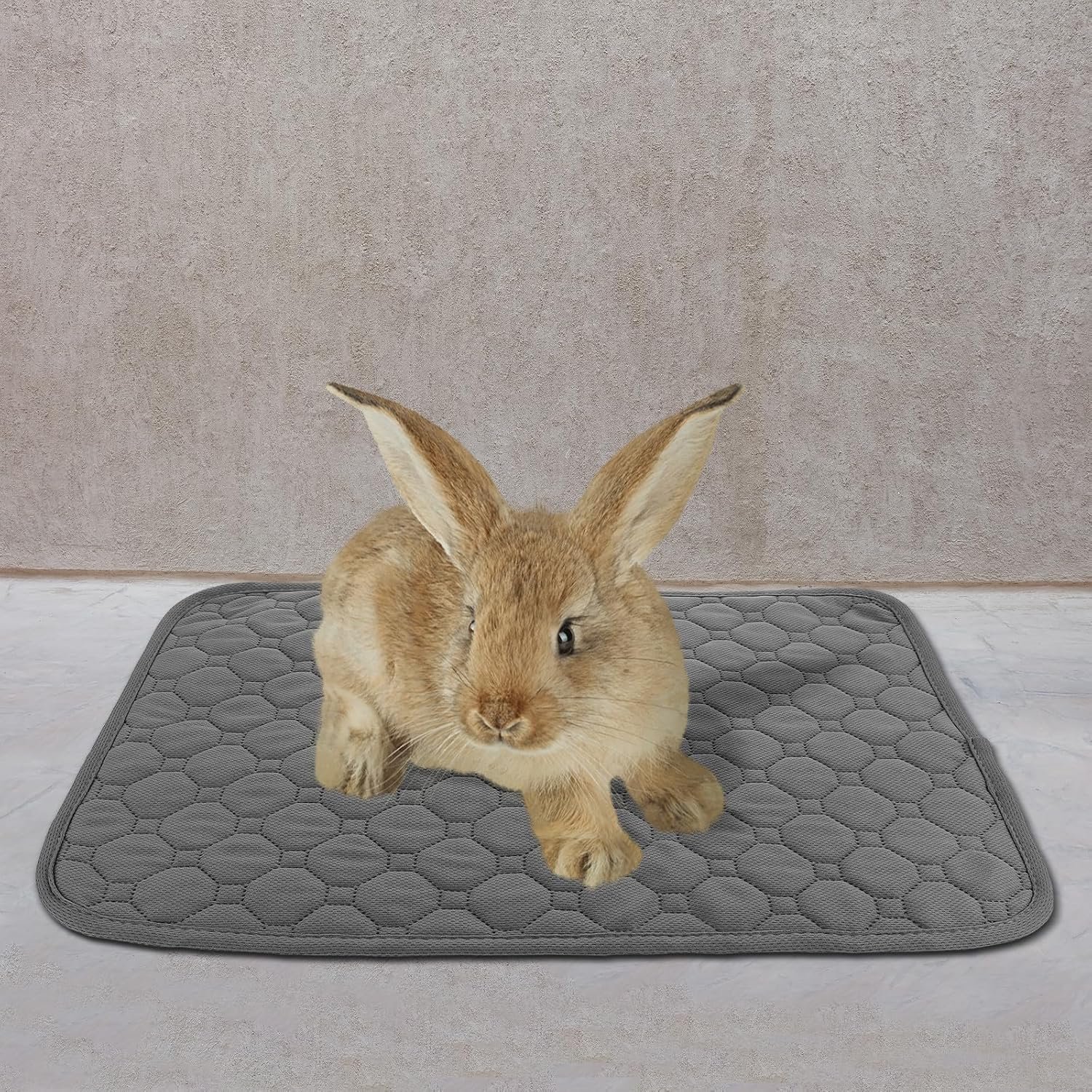 Wasbare Hamster Herbruikbare Huisdierbodembedekking voor Cavia Chinchilla Kleine Knaagdieren Absorberend Decoratief Kussen Milieuvriendelijk Compact voor Kleine Huisdieren