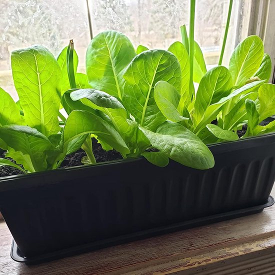6 stuks 47 cm platteland bloembak plantenbakken, plastic groenteplantenbakken met 30 stuks plantenlabels, zwarte bloembakken met bevestigd dienblad voor vensterbank, terras, tuin, balkon.. — afbeelding 2