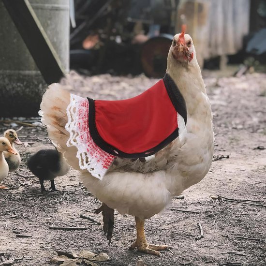 2 Stuks Kippenzadel Beschermhoes met Verstelbare Elastische Riemen Duurzaam Kippenrugschort voor Bescherming van Veren Bij Grote Kleine Hennen Geschikt voor Pluimveebescherming — afbeelding 4