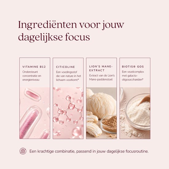 Infographic met ingrediënten voor Focus Gummy: vitamine B12, citicoline, Lion's Mane-extract en Biotis GOS.