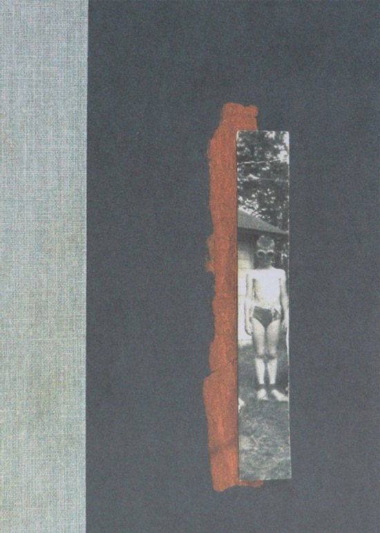 Boekomslag genaamd Nox met grijze textuur en een collage van een kind met duikbril op een roestkleurige achtergrond.