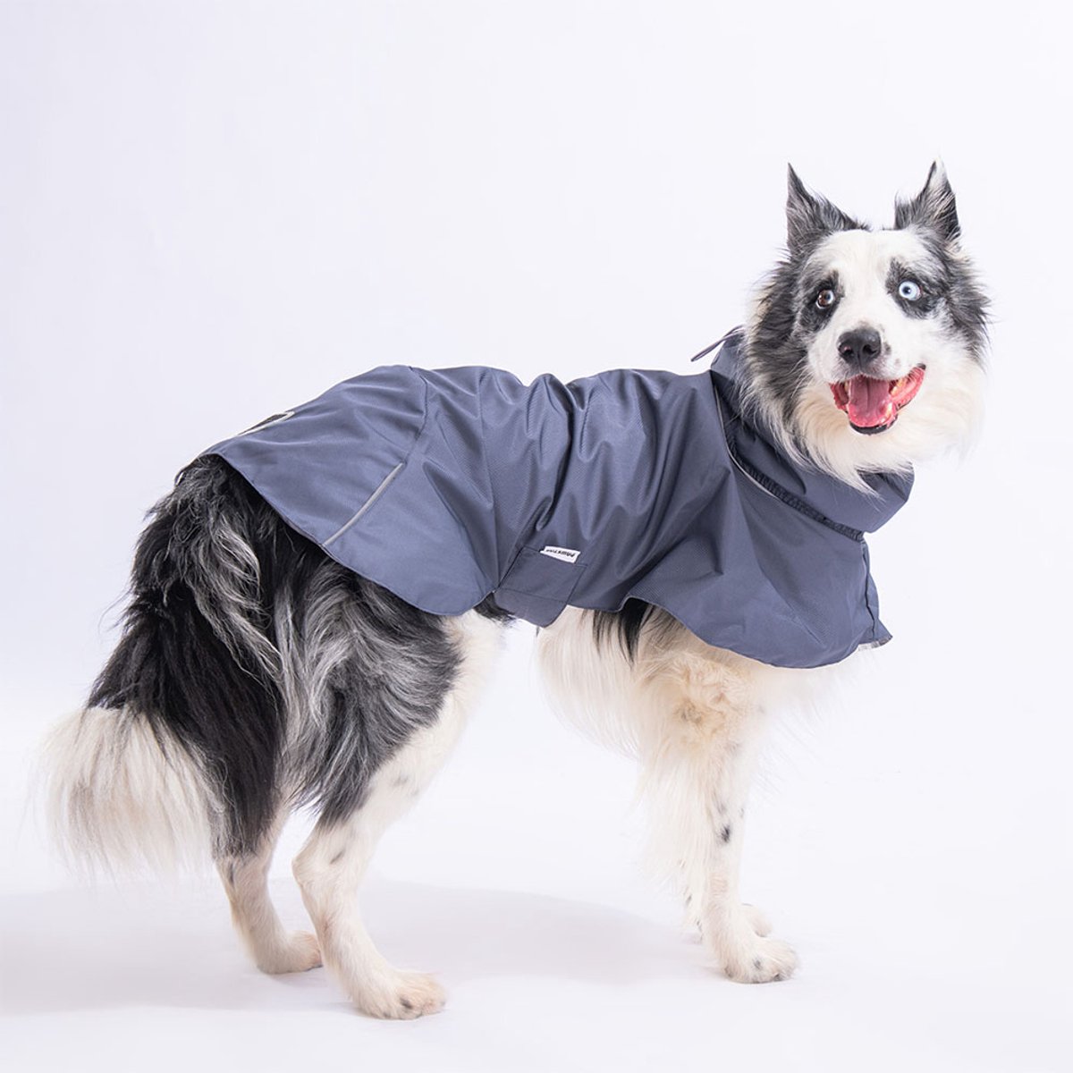 Pawstar Colombia - Hondenregenjas - Grijs - M