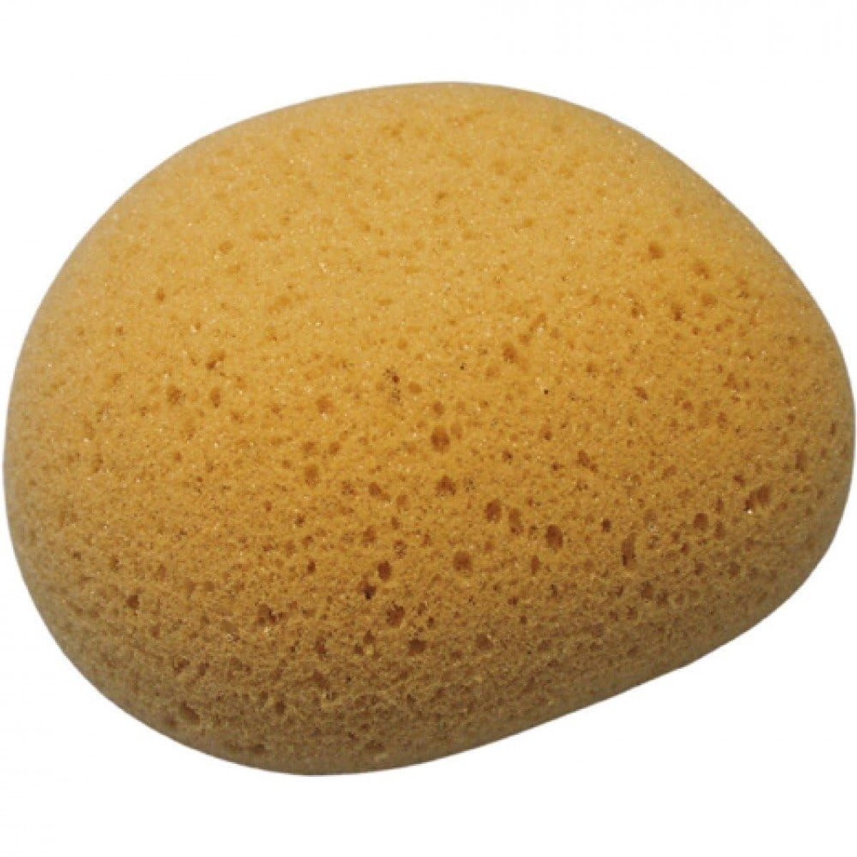 Natura Wellness Spons - 15 x 12 x 7 cm, Zacht en Absorberend