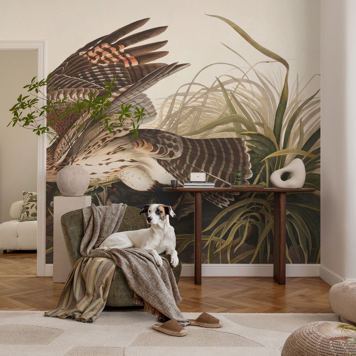 Coloray Vliesbehang - Grijs Snellijm Behang - 104x70 cm - Gevleugelde Schoonheid Fotobehang Vlies - Woonkamer behang Dieren - Muurschildering - Woonkamer behang