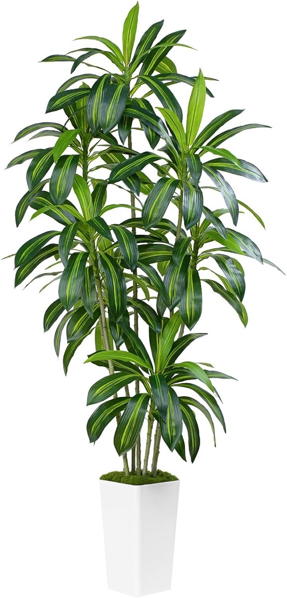 210cm Kunstmatige Dracaena Plant Kunstboom Hoge Nep Tropische Vloerplant Gepotte Kunstzijden Boom Bladeren Kunstbomen Hoge Witte Plantenbak voor Woonkamer Kantoor Binnen Buiten Decoratie