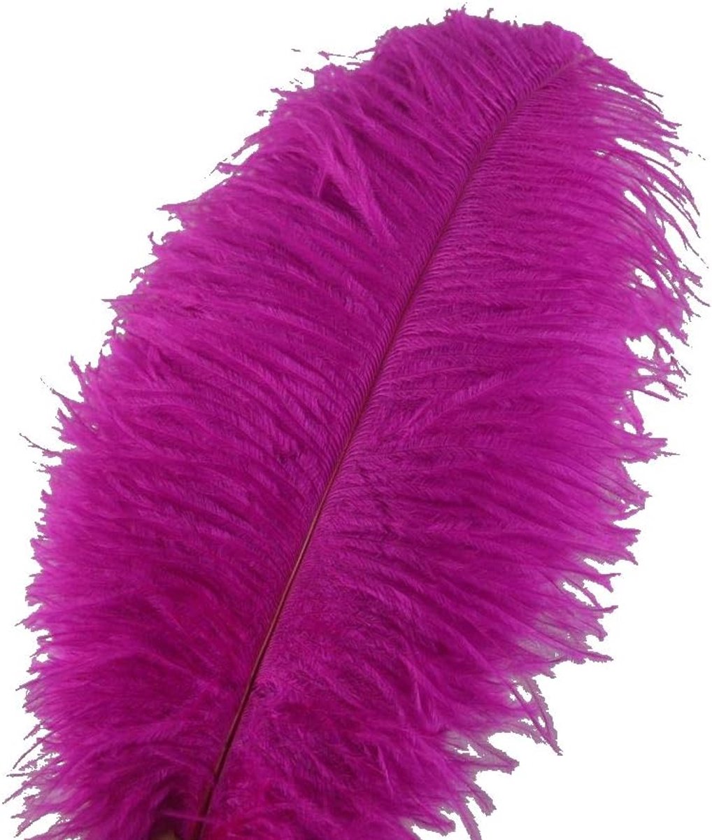 Veren 30-35 cm voor Bruiloftsdecoraties (fuchsia)