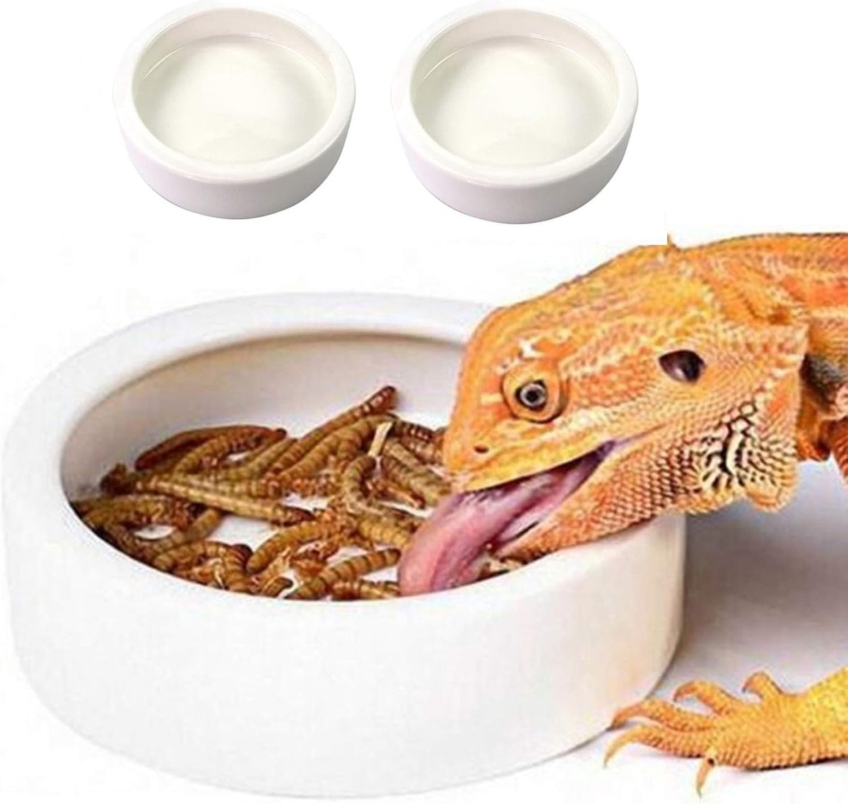 Voerbak Uitbreekvrij Keramiek voor Gecko & Hagedis 7 cm