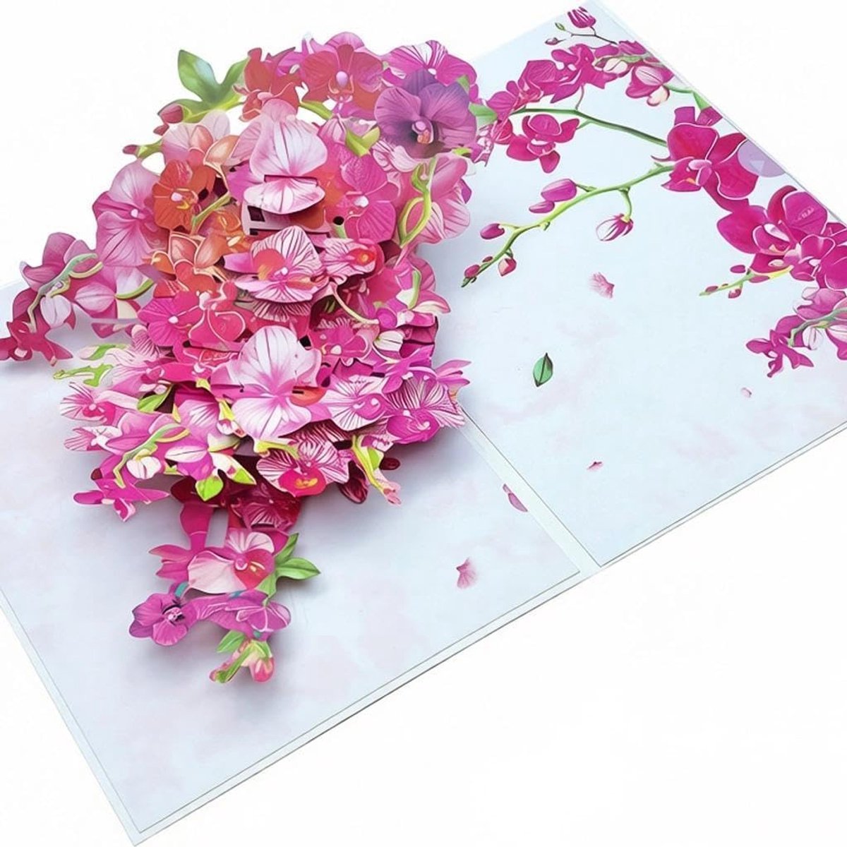 3D Orchid pop-up verjaardagskaart - 3D papier gesneden bloem ontwerp voor vrouwen, cadeau voor moeder, vrouw, tante, zus of speciale vriend - Multi-gelegenheid kaart voor Valentijnsdag