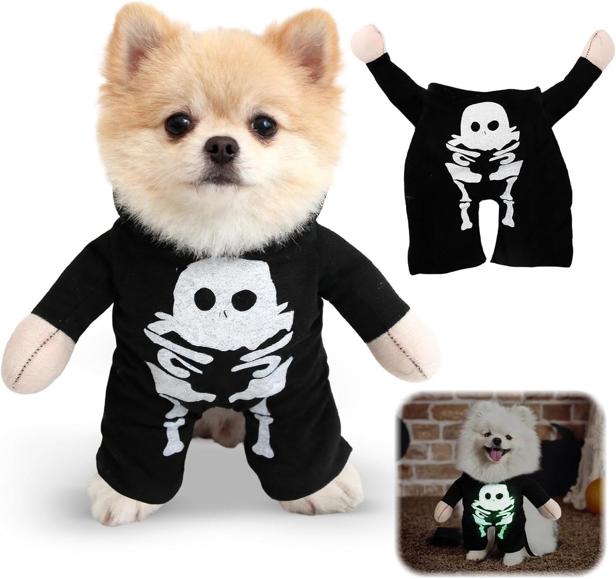 Hondenkostuum, Halloween-kostuum voor honden (S, C)