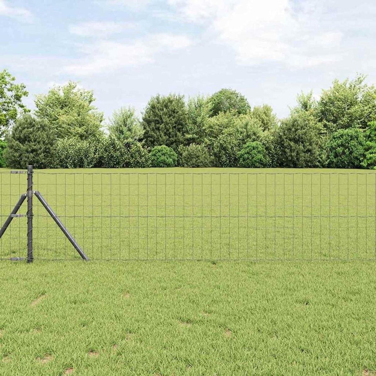 Euro-omheining, grijs, 0,6 x 50 m staal, hekstangen, gaashek, draadhek, tuinhek voor binnenplaats, kippenhok, wilgenhek, 42004611