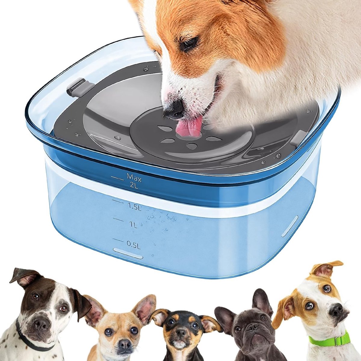Geen Gemorste Waterbak voor Honden: 2L Waterbak voor Honden en Katten, Lekvrij en Antislip, Ideaal voor Huisdieren en Reizen - Blauw