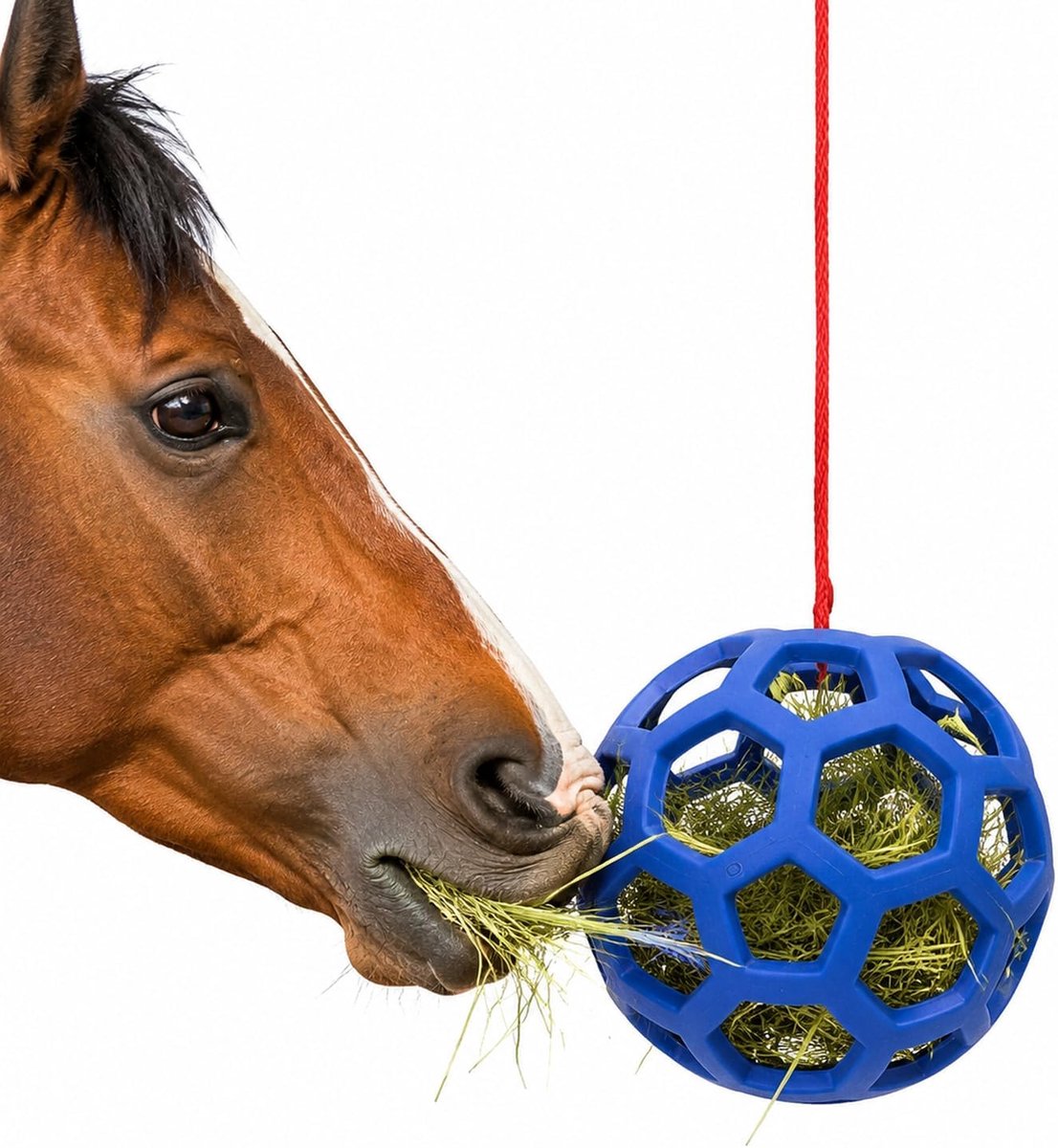 Paard, speelgoed voor paarden, hangend hooi het voeden vertragen, paardenvoederbal speelgoed, geiten, schapen (blauw)