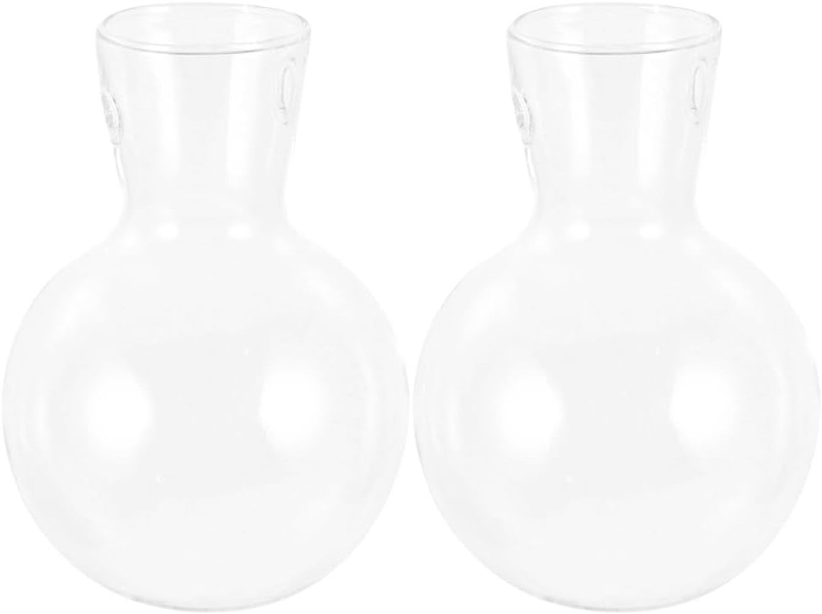 2 Glazen Hydroponische Vaas met Standaard Transparante Borosilicaat Plantenterrarium Creatieve Indoor Air Plant Houder voor Huisdecoratie