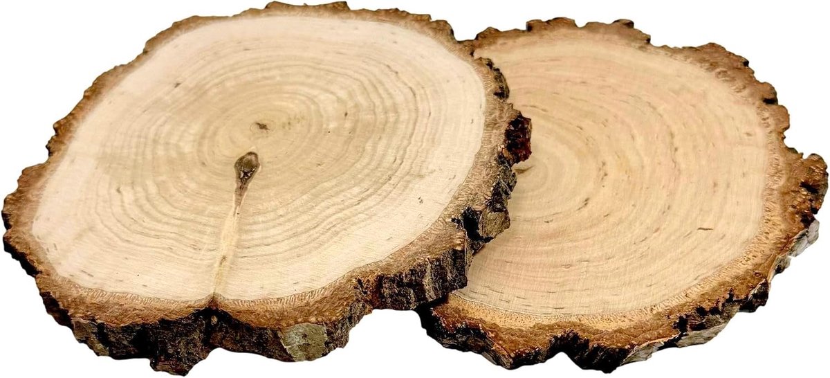 Set van 2 houten schijven met schors van 12–15 cm – Dubbelzijdig geschuurde decoratieve plakjes voor DIY, handwerk, decoratie, bruiloften en feestdagen