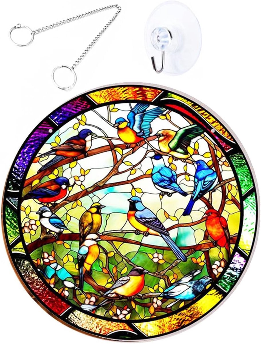 Zonnevanger, 20 cm, dubbelzijdig acrylraam met ketting om op te hangen en zuignap, gebeitste vogel-zonnevanger voor ramen, terras, muur, huis en tuin (kolibrie-model)