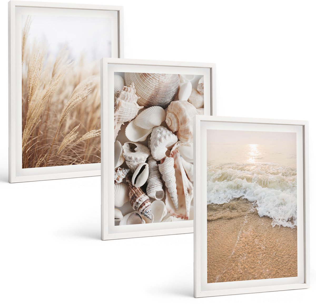 Coloray 3-Delige Schilderij Set - Strandthema Met Schelpen En Zeegolven - 40 x 60 - Wanddecoratie - Moderne Interieurdecoratie - Moderne Wanddecoratie