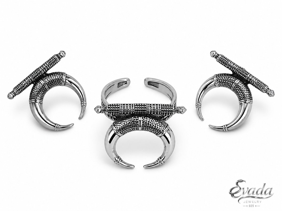 925 Sterling Zilveren Sieradenset Dames – Hoorn Design – Ring met Oorbellen – Silver Jewelry Set – Bague Boucles d’Oreilles – Eavada Jewelry