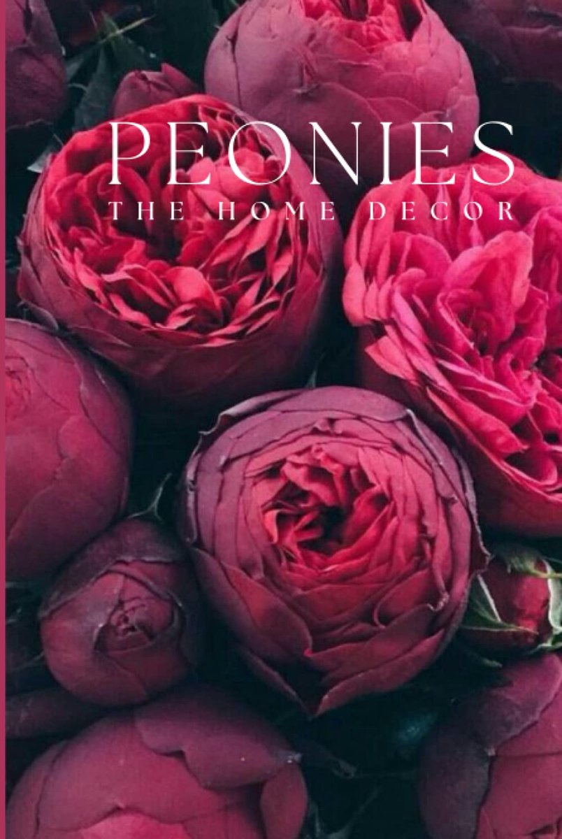 Peonies Coffee Table Book: Coffee Table Notebooks Hardcover, House Warming Gifts New Home Book - ShopVlot