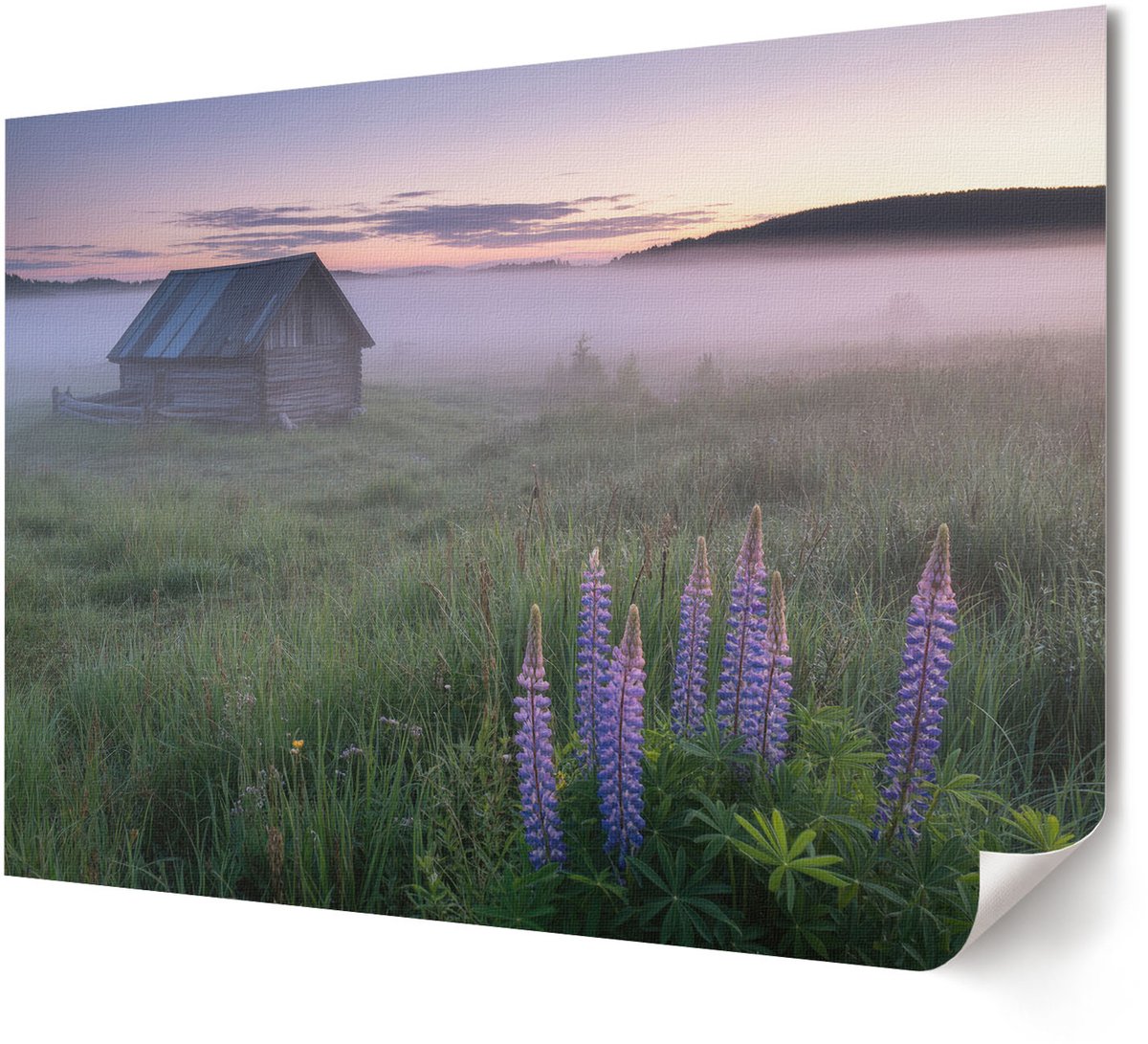 Coloray Polycanvas Wandposter - Illustratie Van Olifanten, Grijs - A4 - Grijs Decoratie - Rechthoek - Interieurdecoratie - Kantoor - Minimalist