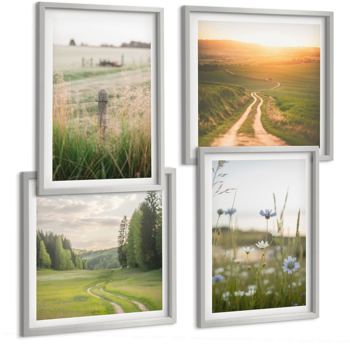 Coloray 4-Delige Schilderij Set - Natuurlandschappen Met Velden En Paden In De Zon. - 40 x 40 cm En 40 x 60 cm - Muurdecoratie - Schilderijen Set - Woonkamer