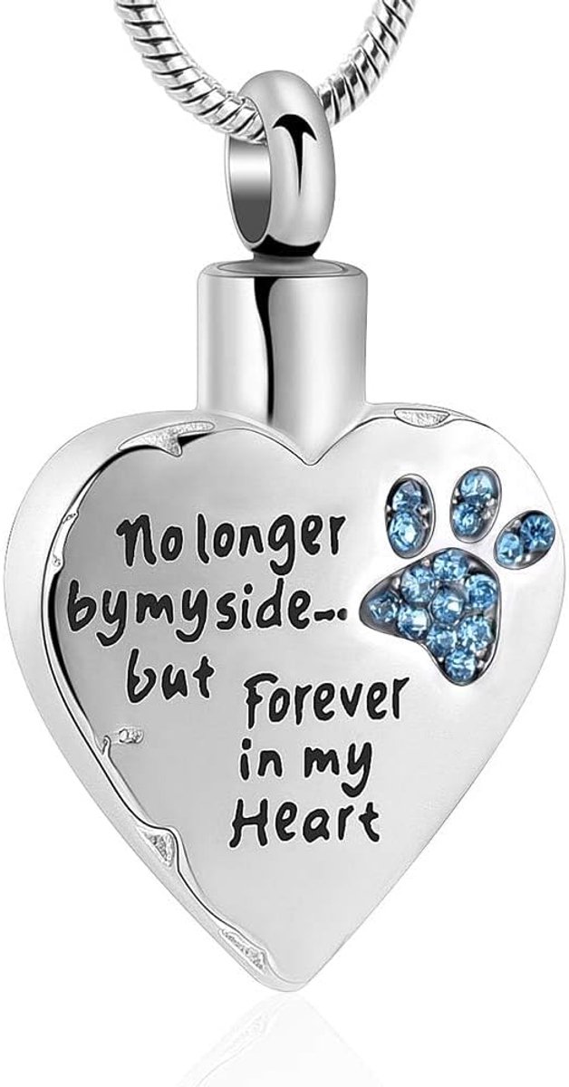 Memorial jewelry Je vleugels waren klaar, maar mijn hart was niet van roestvrij staal gesneden medaillon crematie urn halsketting voor huisdier, hond en katten