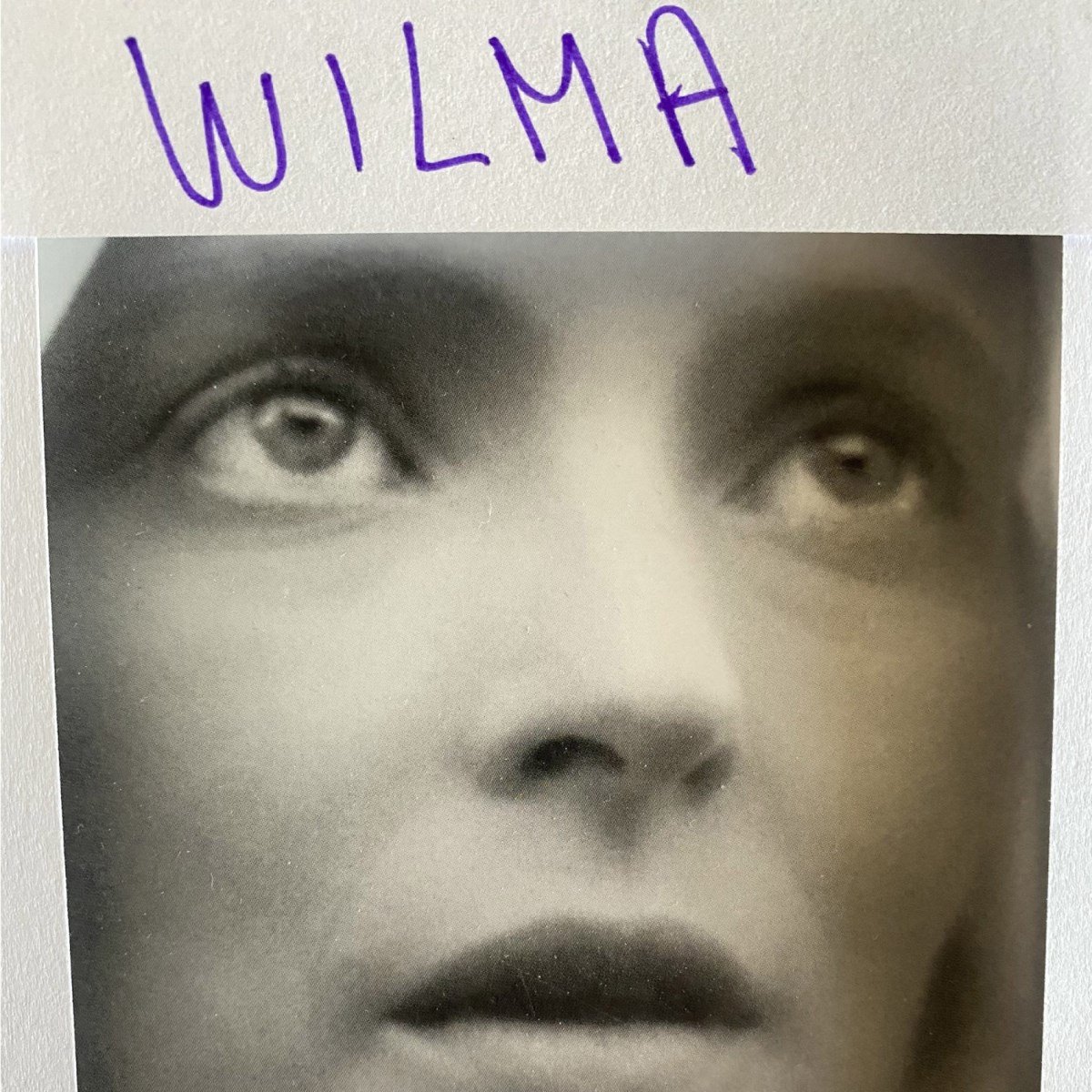 Daniele Luppi - Wilma (LP)