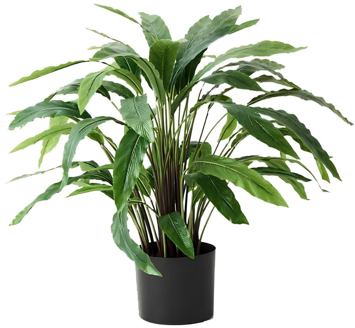 PrettyPlants Calathea Kunstplant 60cm | Kleine kunstplant | Kunstplant voor binnen | Neppe Calathea plant