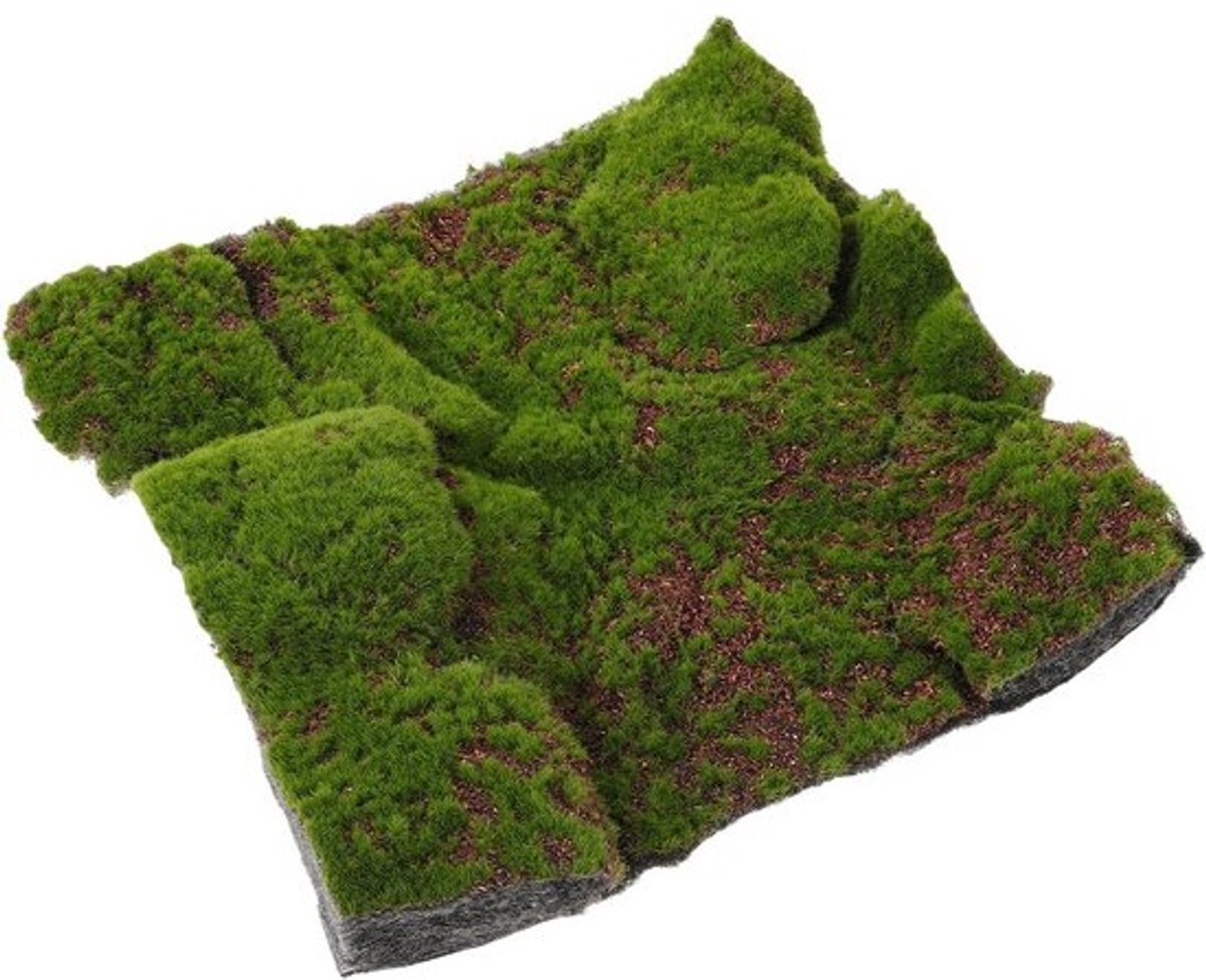 Groene kunstgrasmat - Decoratief gazon - Voor tuin en knutselen - Onderhoudsvrij - Natuurlijke uitstraling - Vierkant - 30 cm
