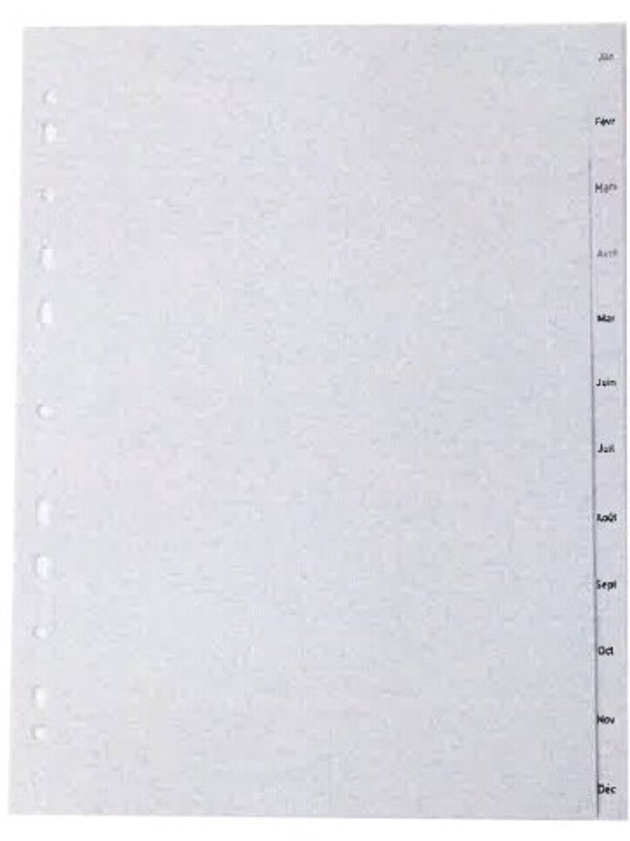 proOFFICE maandenregister A4, Frans, PP, 12-delig