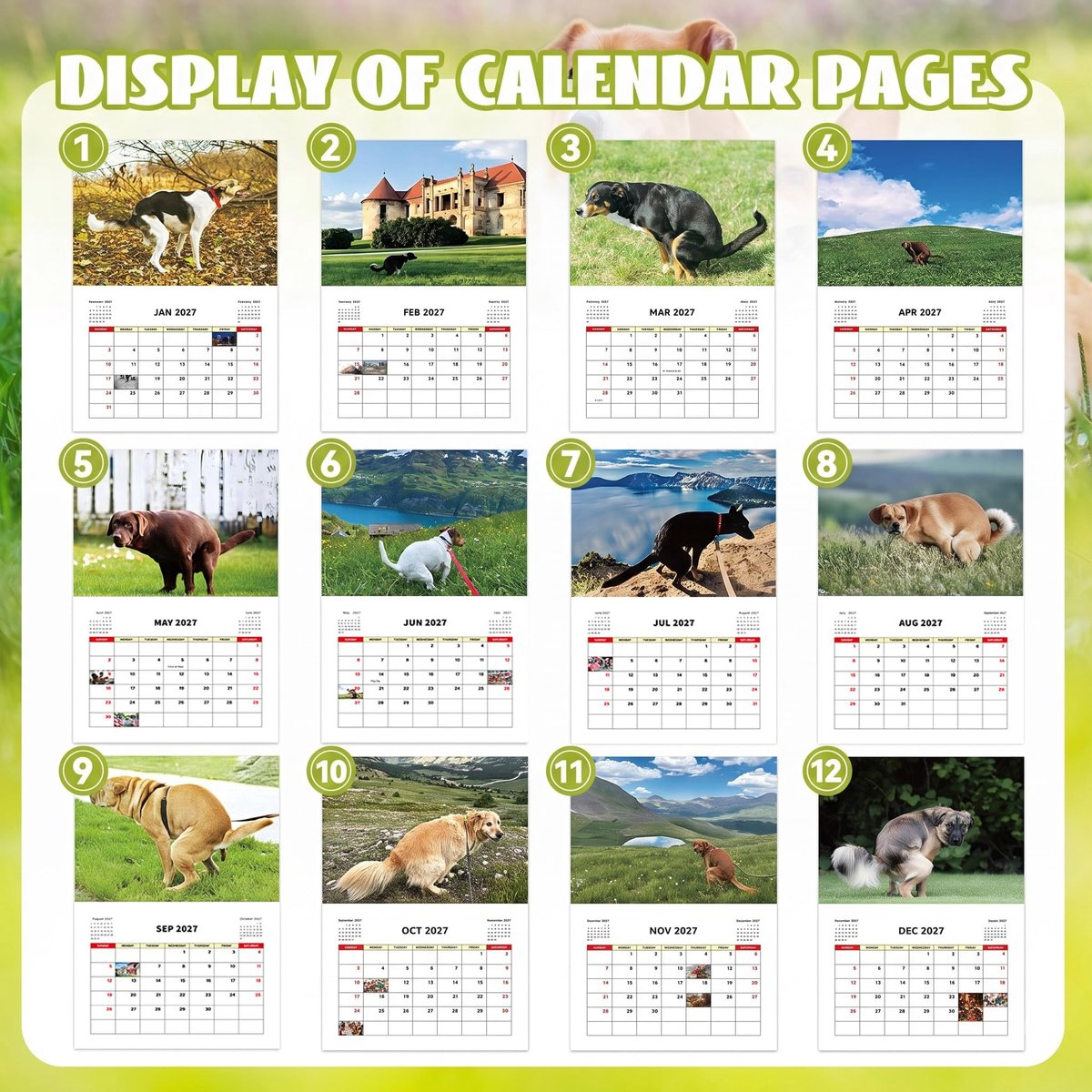 CHIHOLEN 2027 Honden Die Poepen op Mooie Plekken Kalender, 2027 Grappige Welp Humor Muurkalender, Grappige Humor Grap - ShopVlot
