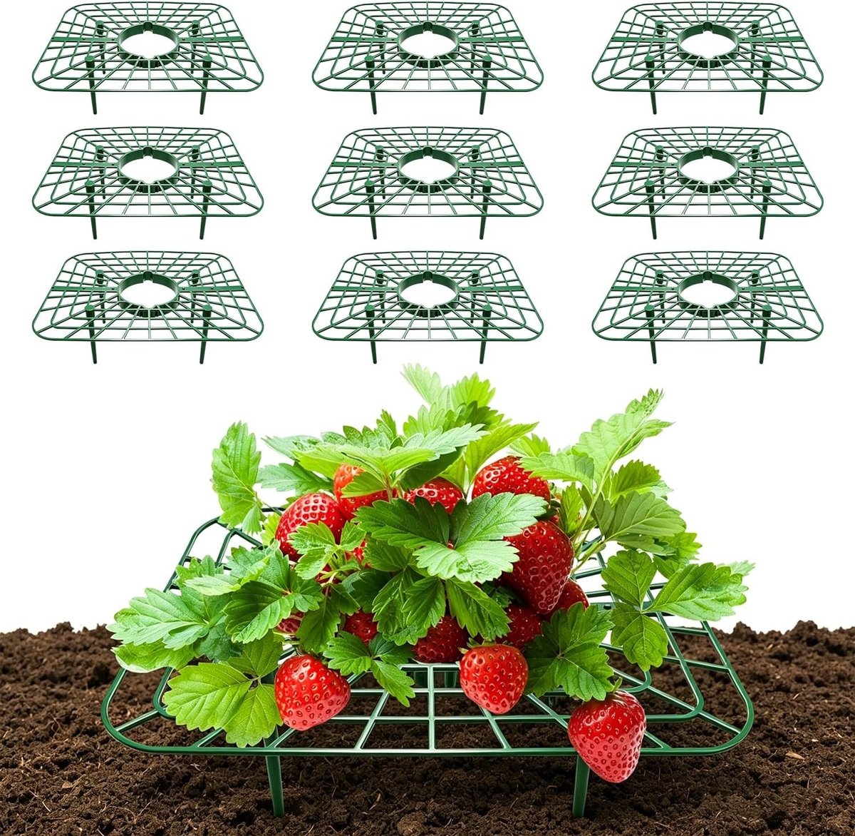 Set van 10 Aardbeienplant Houders - Vierkante Aardbeien Groeiframe van 20 × 25 cm, Herbruikbaar voor Optimale Groei en Voorkomen van Rot