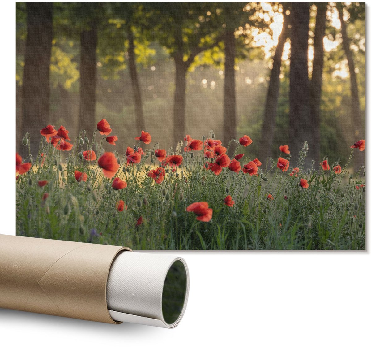 Coloray Polycanvas Wandposter – Klaprozen En Bos, Rood – A1 – Groen Illustratie – Rechthoek – Wandkunst – Woonkamer – Expressief