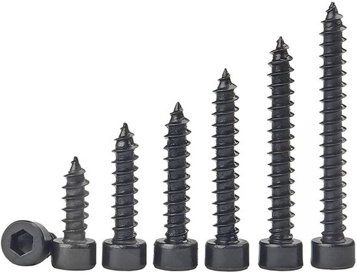 M3 x 12 mm Hex Cilinderschroeven - 20-delige Set Zelftappende Schroeven