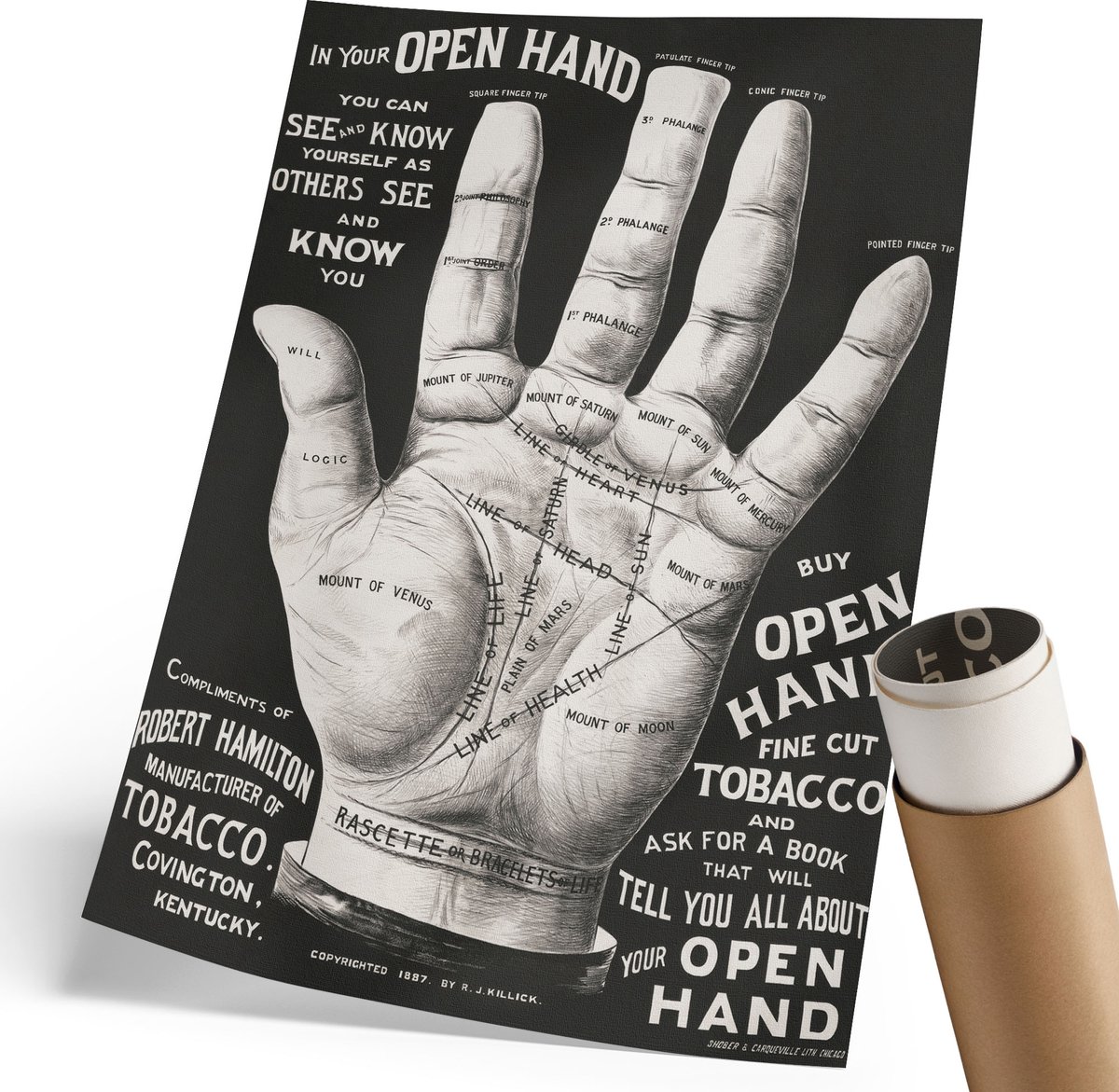 Coloray Polycanvas Poster - Open Hand, Fotografie - 210 x 297 mm - Zwart Kunst - Rechthoek - Decoratieve poster - Woonkamer, Slaapkamer, Kantoor - Vintage