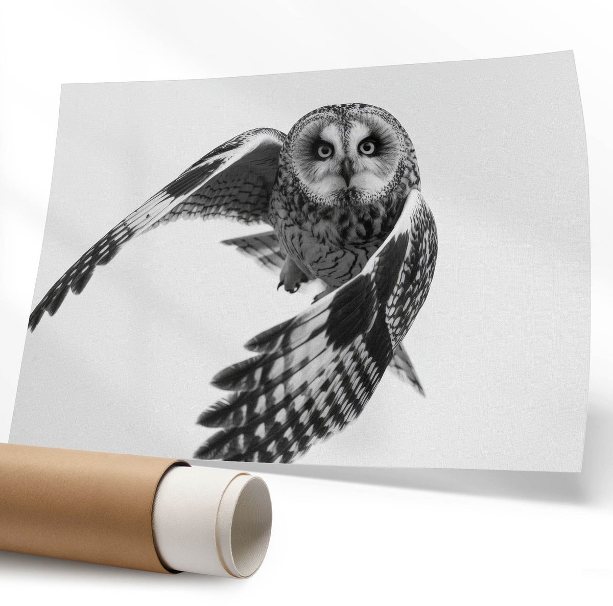 Coloray Polycanvas Wandposter – Uil In Vlucht, Zwart-Wit – A1 – Wit Poster – Rechthoek – Wandkunst – Kantoor – Glamour