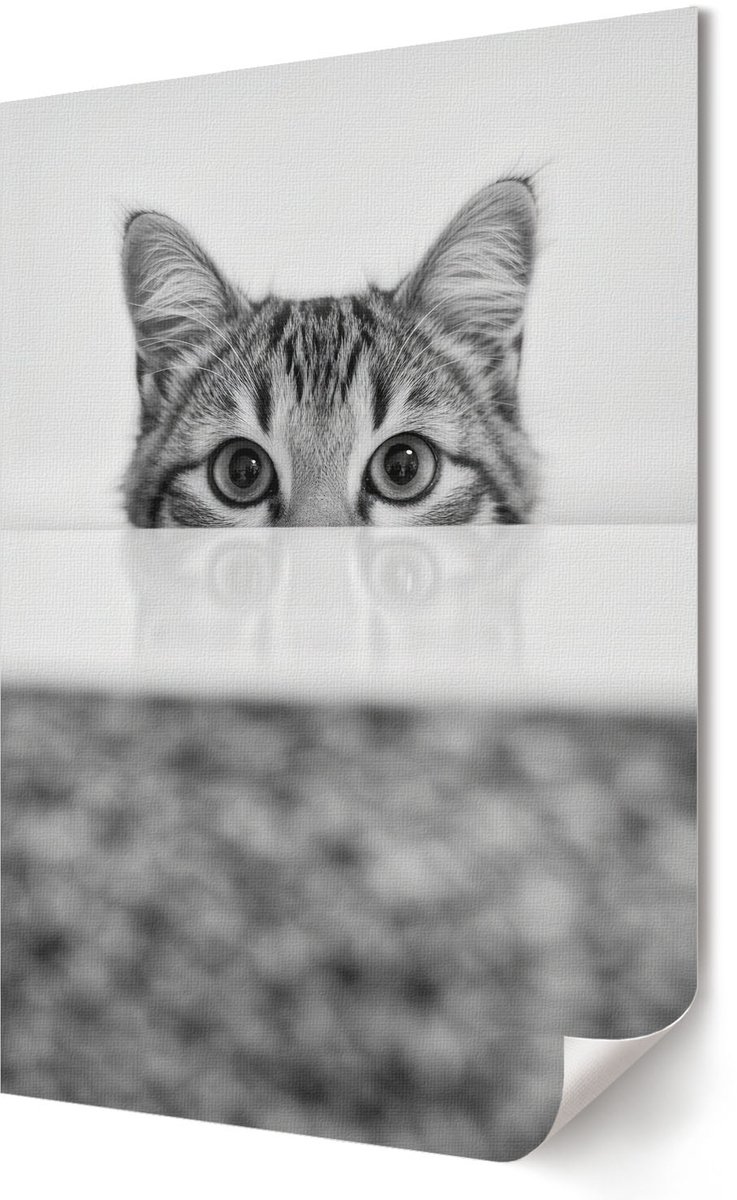 Coloray Polycanvas Poster - Kattenportret, Fotografie - 594 x 840 - Zwart-wit Wandposter - Rechthoek - Muurdecoratie - Woonkamer - Minimalist