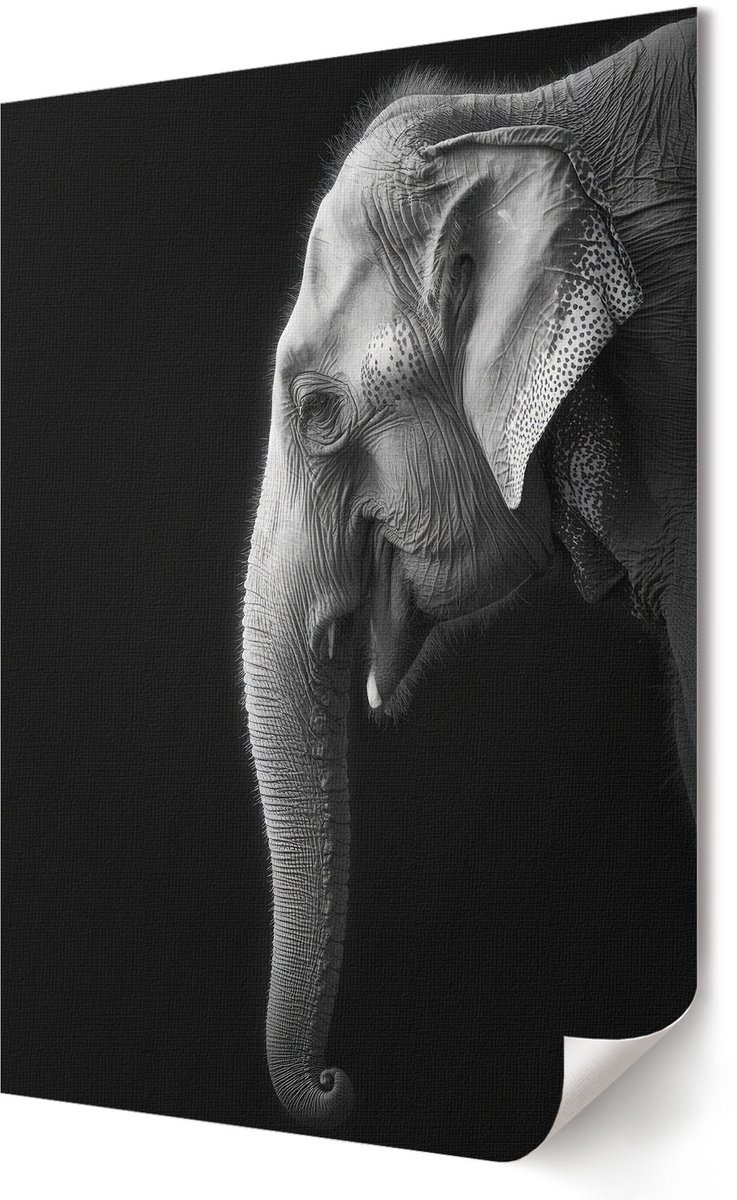 Coloray Polycanvas Wandposter - Profiel Van Een Olifant, Fotografie - 594 x 840 - Wit Wanddecoratie - Rechthoek - Wandkunstwerk - Slaapkamer - Klassiek