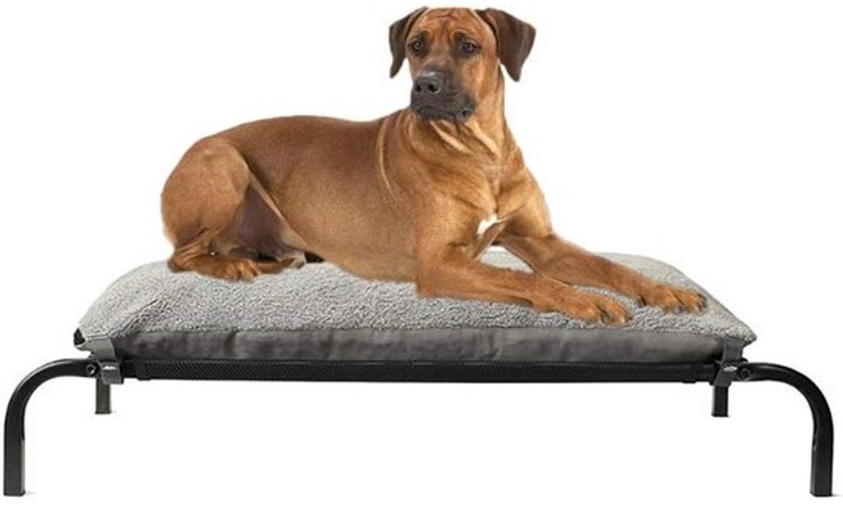 Verhoogd Hondenbed - Huisdier Mand - Comfortabel Rusten - Ademend Gaas - 68x55x15 cm - Grijs