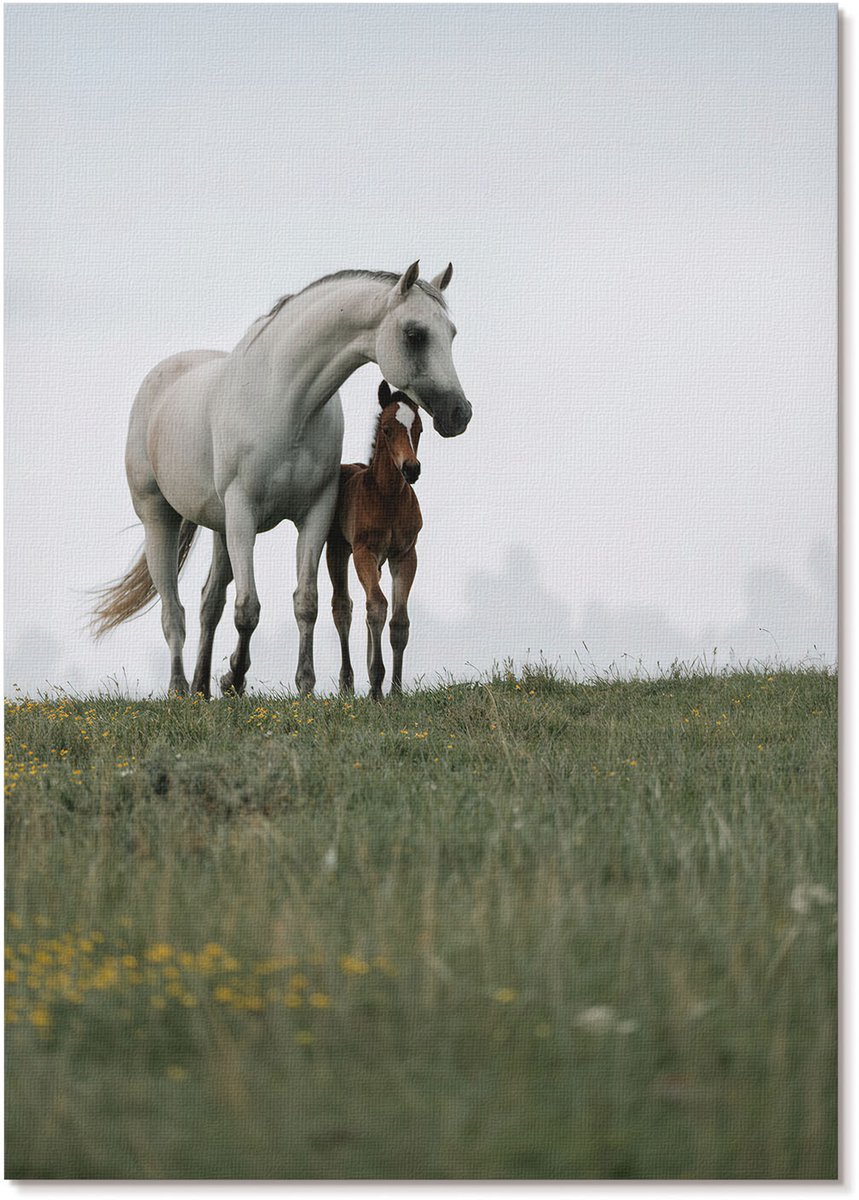 Tulup Polycanvas Poster - Paarden In De Wei, Fotografie - A4 - Groen Kunst - Rechthoek - Wandkunst - Woonkamer, Slaapkamer, Kantoor - Klassiek