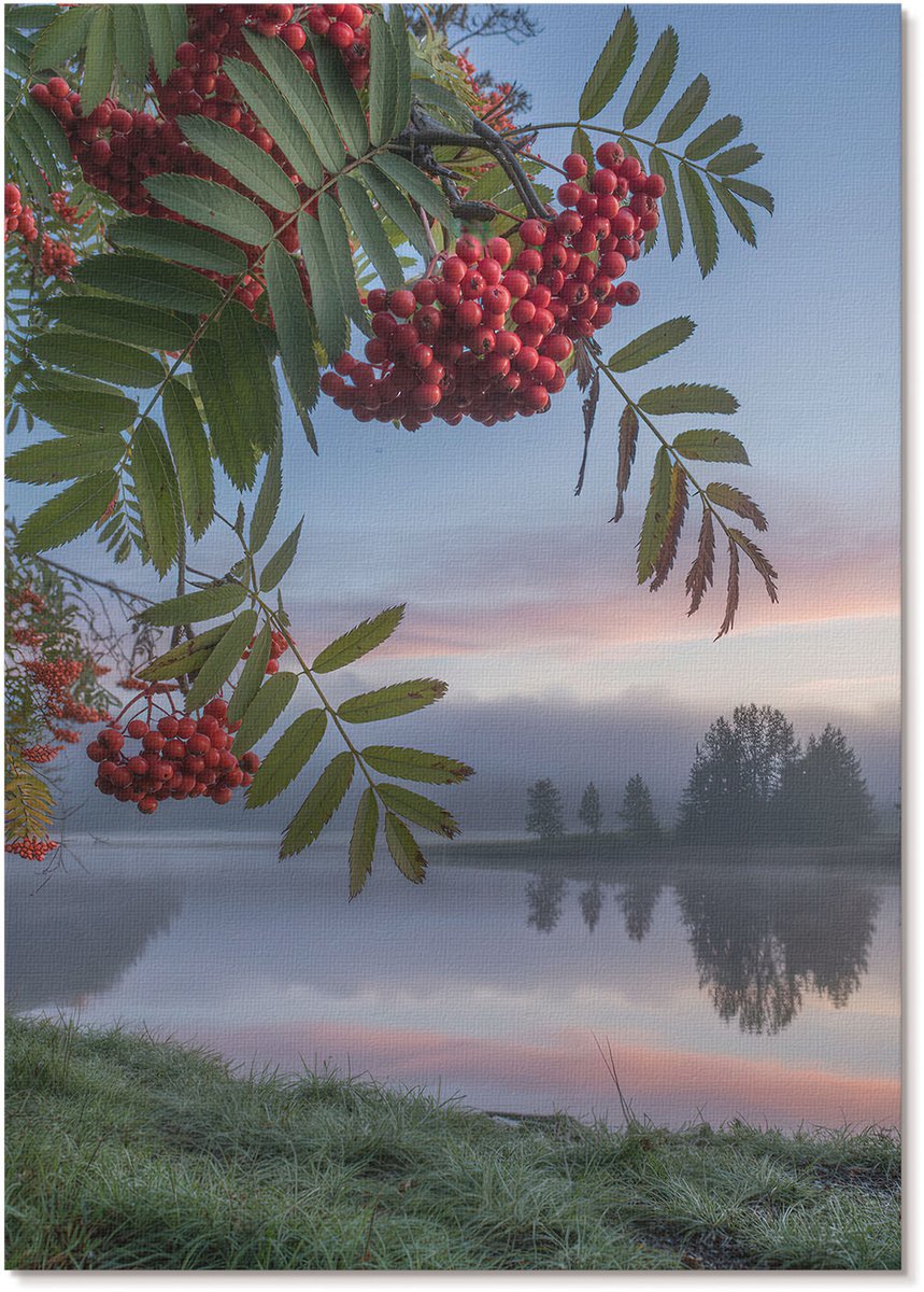Tulup Polycanvas Wandposter - De Natuur In De Ochtend, Fotografie - A4 - Groen Illustratie - Rechthoek - Interieurdecoratie - Woonkamer, Slaapkamer, Kantoor - Klassiek