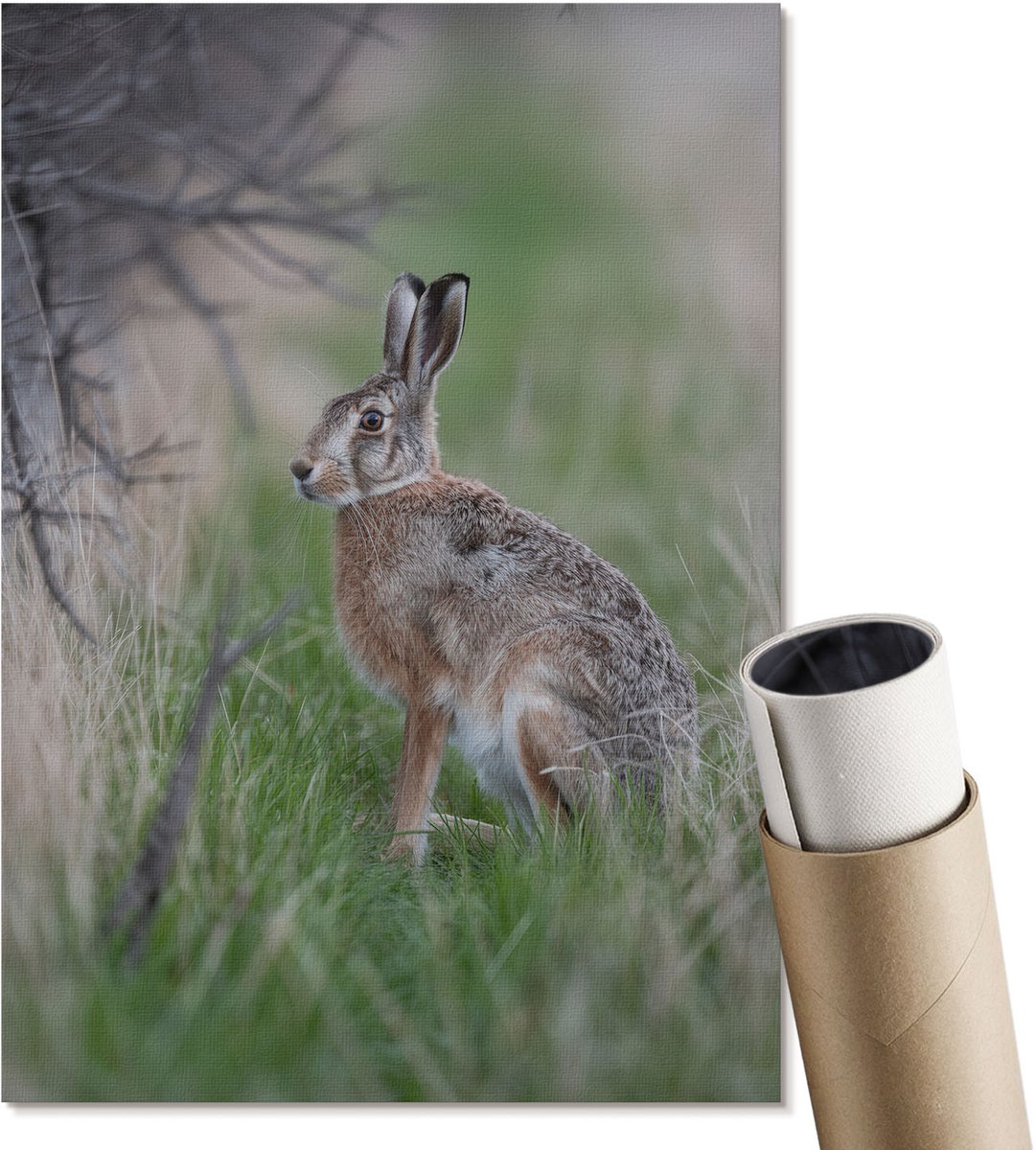 Coloray Canvas Poster Polycanvas - Haas In De Natuur, Fotografie - A4 - Groen Patroon - Rechthoek - Decoratieve poster - Woonkamer, Slaapkamer, Kantoor - Modern