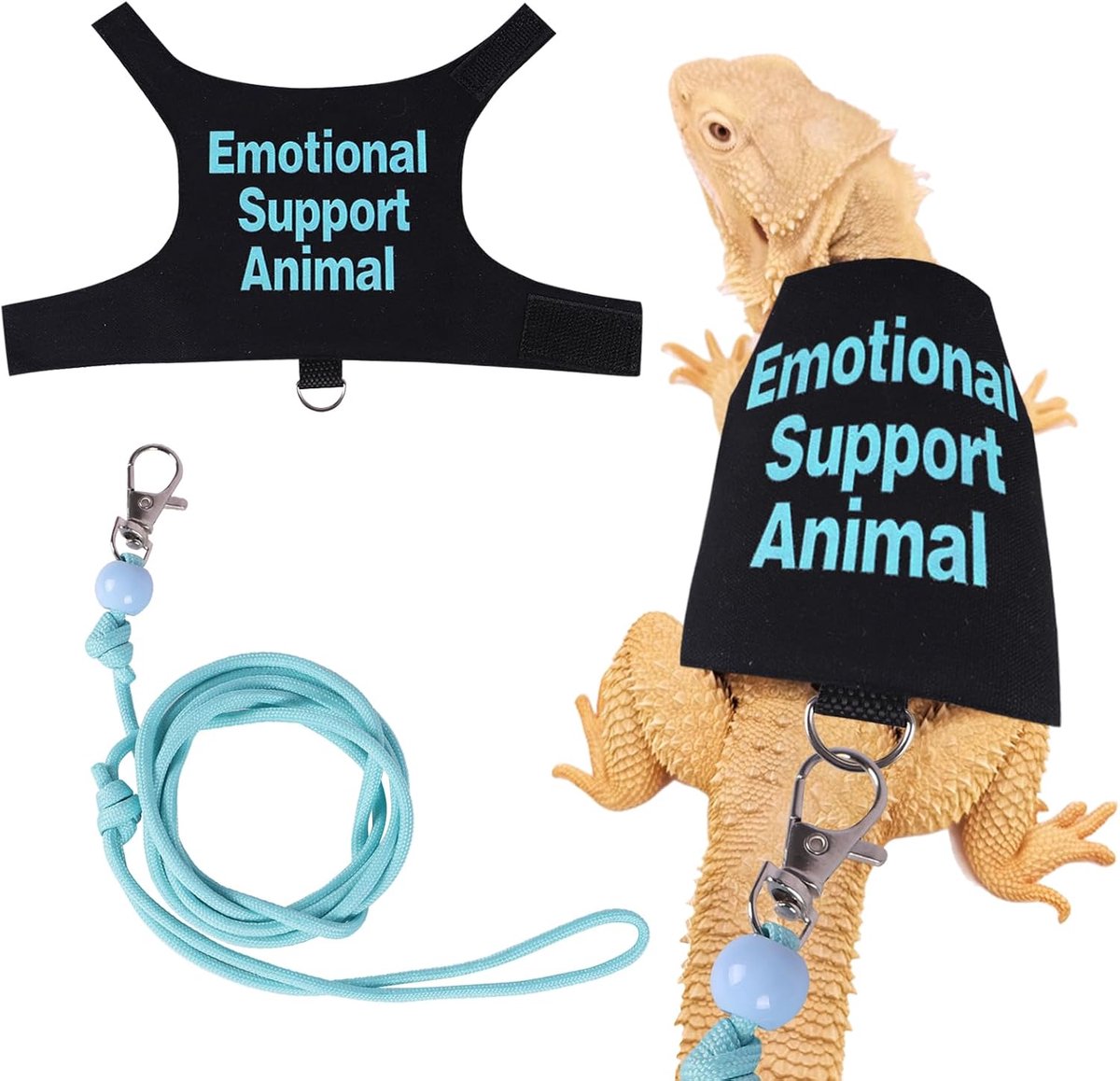 harnas en riem set verstelbare reptielen hagedis riem touw vest kleding starterkit accessoires voor kleine dieren buiten wandelen training (blauw)