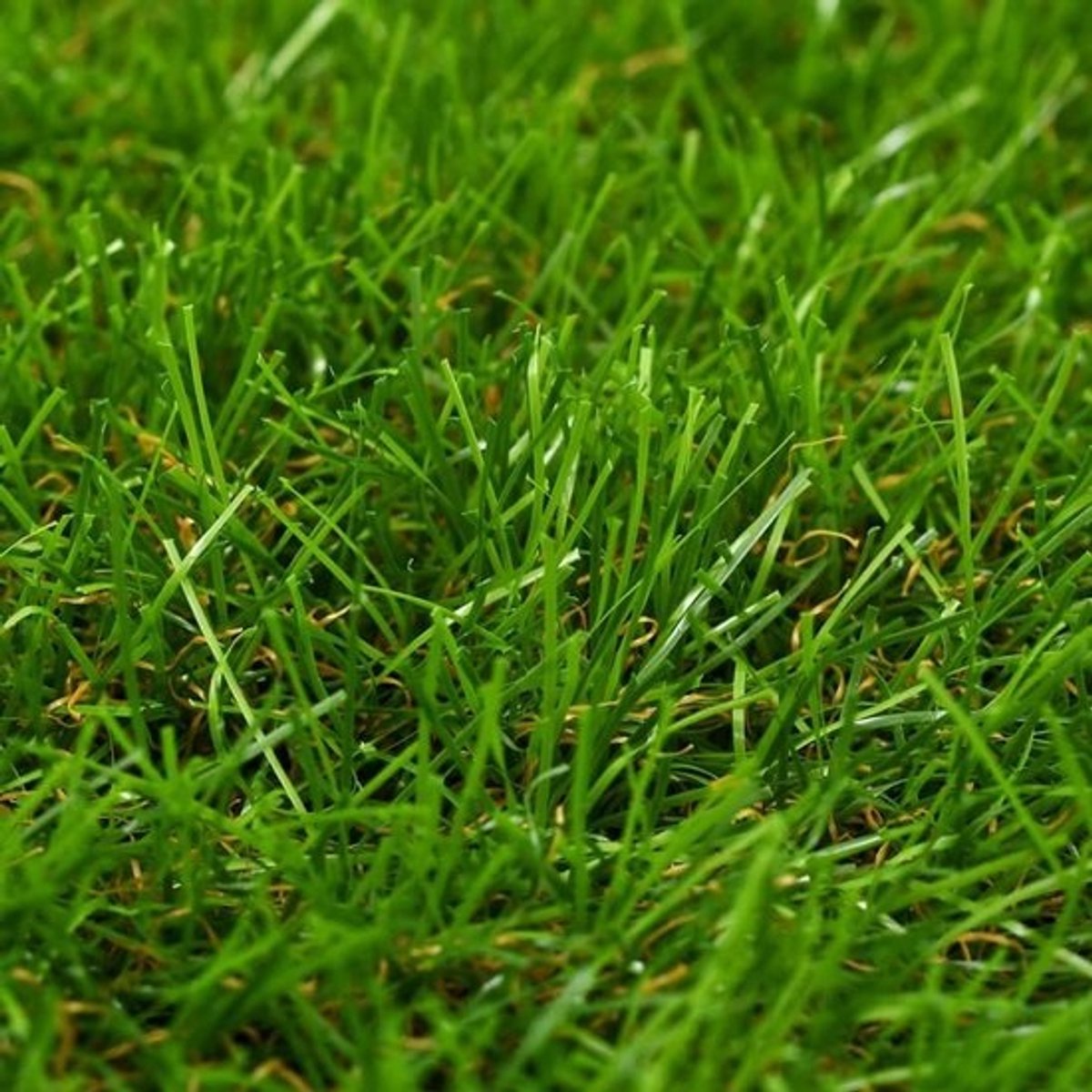 Kunstgras 1x10m met 40mm Poolhoogte - Onderhoudsvrij Groen Gazon voor Tuin en Balkon
