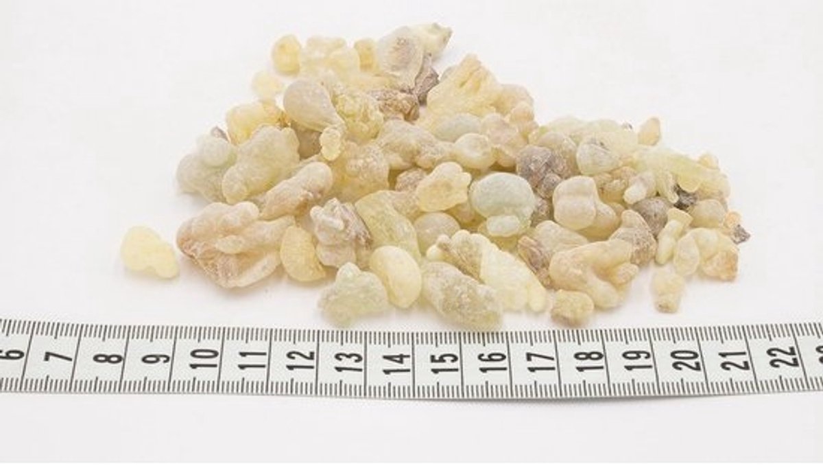 Superieure Hojari Wierook Hars uit Oman Boswellia Sacra Zuiverste Kwaliteit