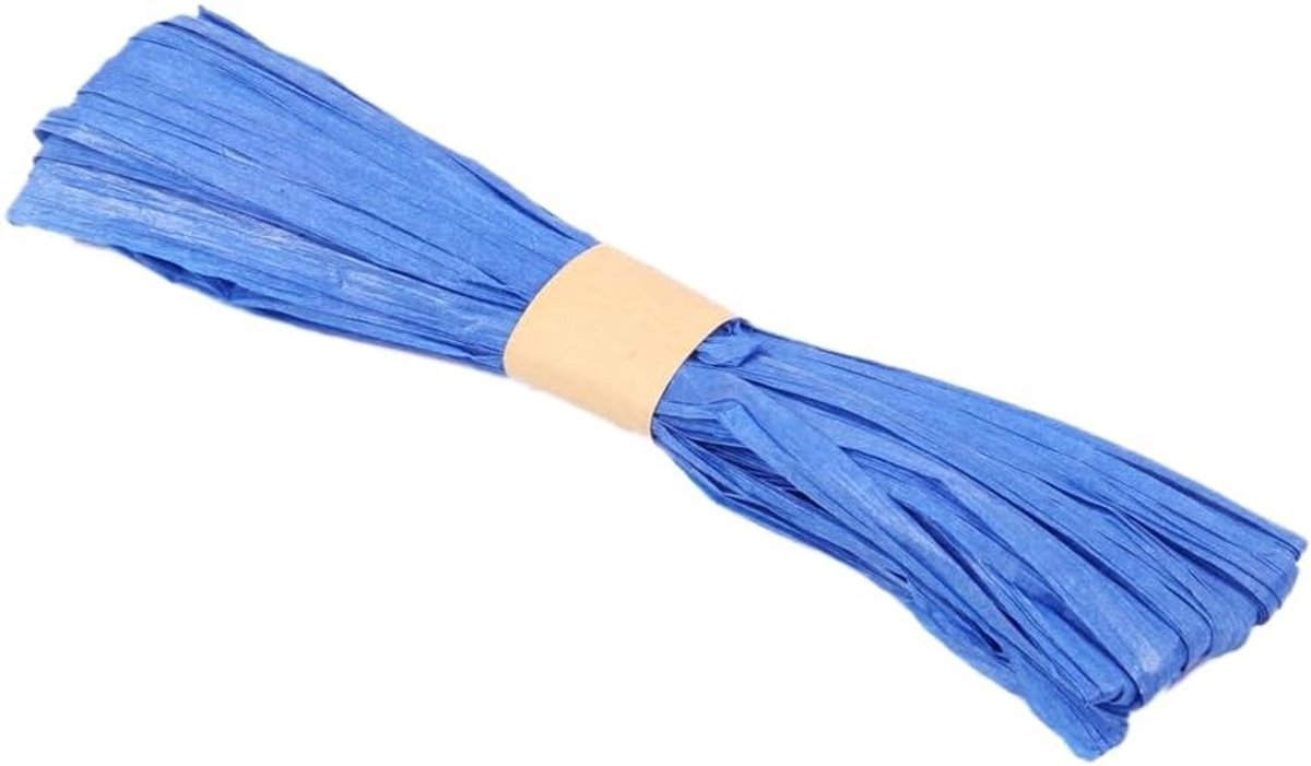 20 m Bast Raffia Craft Band voor Creatieve Projecten, Bloemstukken, Tuinieren en Cadeauverpakking - Blauwe Decoratieve Touw