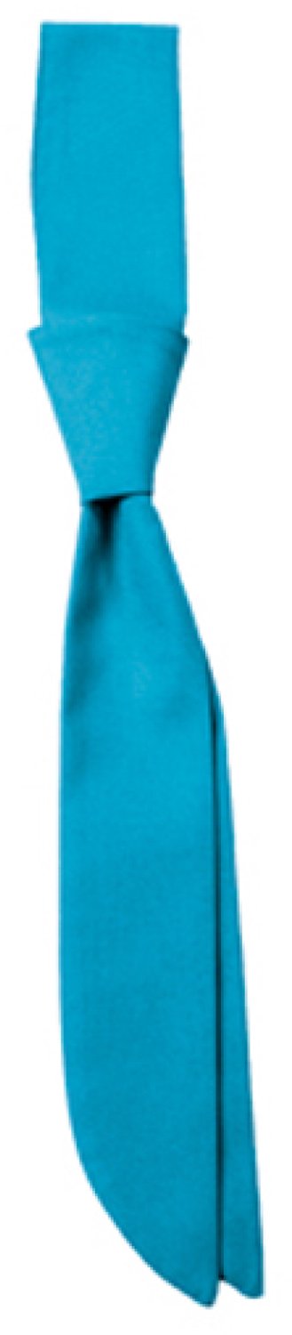 CG Workwear Short Tie Siena CGW150 - Turquoise - One size