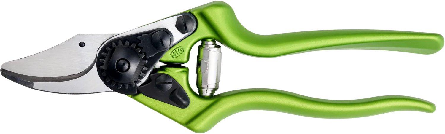 Felco 6 Color Edition Sécateur - Pour Mains Moyennes