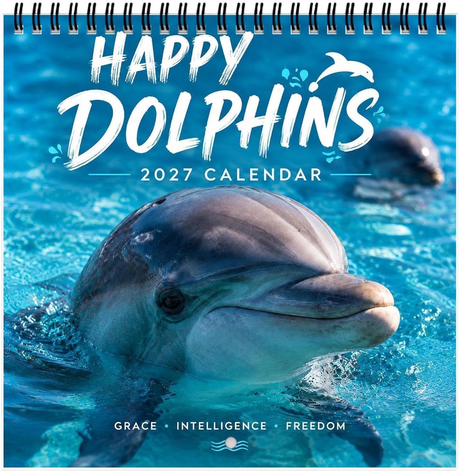 2027 Dolfijn Kalender Dolfijn Zee Dier Schema Management Planner