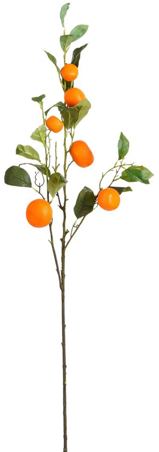 Decoratieve Tak Oranje